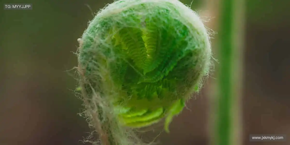 📱弹幕互动，一起狂欢！🏈 体育直播，让孤单不复存在！